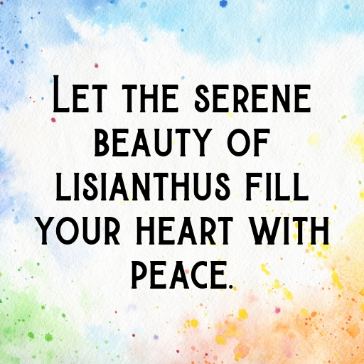 Lisianthus Captions Photo For Instagram In (2025)-5L1wOV