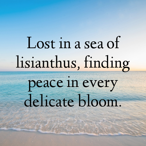 Lisianthus Captions Photo For Instagram In (2025)-bAXoxg