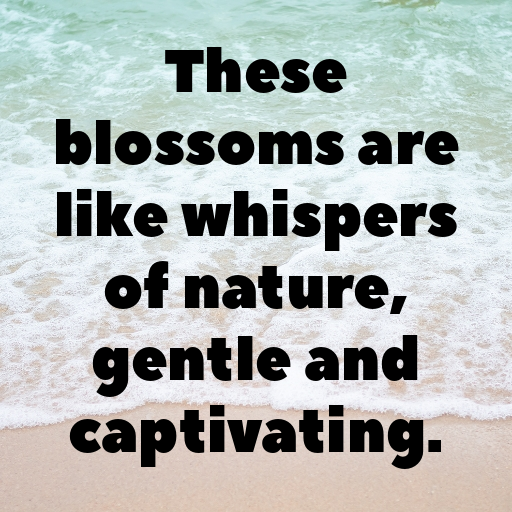 Lisianthus Captions Photo For Instagram In (2025)-uW6loM