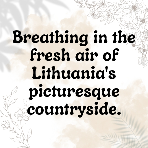 169+ Lithuania Captions For Instagram In (2025) 5 Lithuania Captions Photo For Instagram In (2025)-LVAmv7