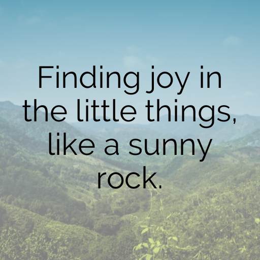 183+ Lizard Captions For Instagram In (2025) 5 Lizard Captions Image For Instagram In (2025)-ficX5F