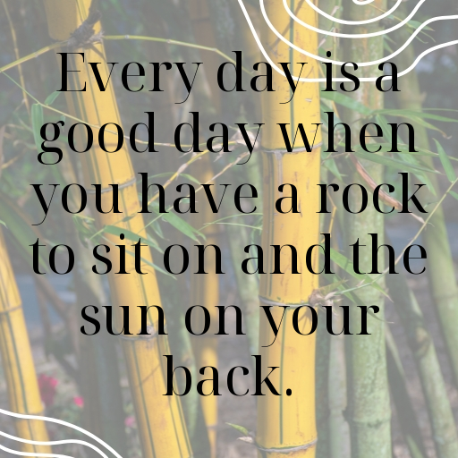 183+ Lizard Captions For Instagram In (2025) 9 Lizard Captions Image For Instagram In (2025)-h4kP5Z