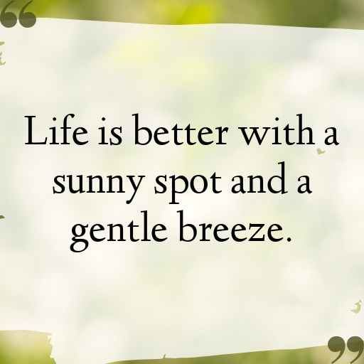 183+ Lizard Captions For Instagram In (2025) 6 Lizard Captions Image For Instagram In (2025)-hwiutg