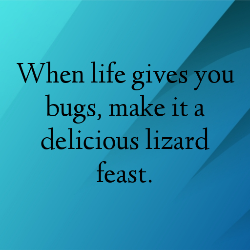 183+ Lizard Captions For Instagram In (2025) 7 Lizard Captions Image For Instagram In (2025)-uwHGLw