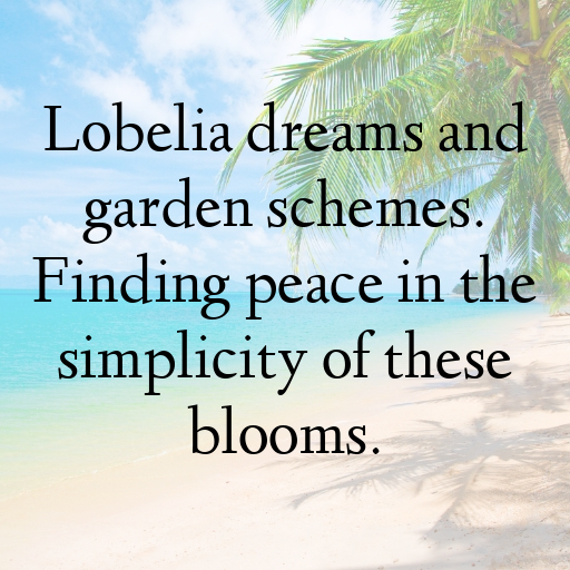 Lobelia Captions Image For Instagram In (2025)-cAViQy