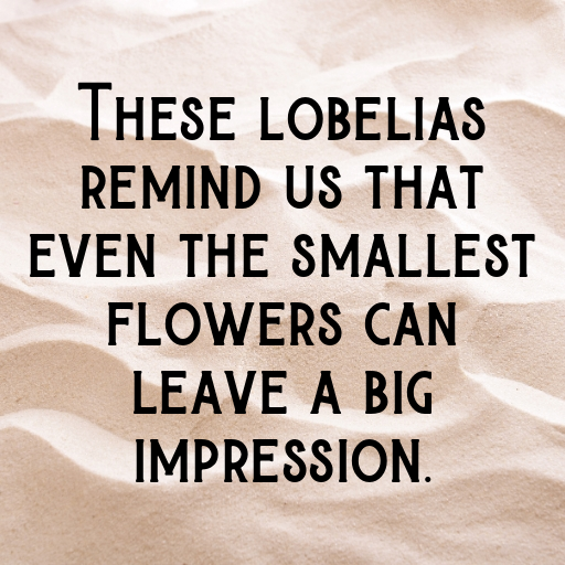 Lobelia Captions Photo For Instagram In (2025)-3ZEndl