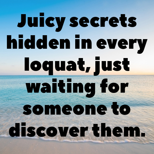 Loquat Captions Image For Instagram In (2025)-B2jZVp