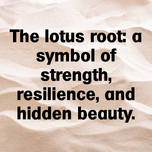 162+ Lotus Root Captions For Instagram In 2025 3 Lotus Root Captions Image For Instagram In 2025-511qFu