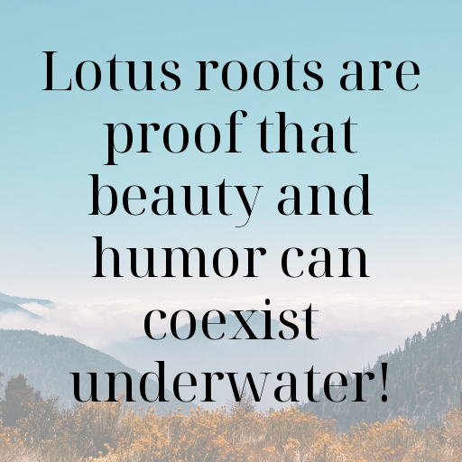 162+ Lotus Root Captions For Instagram In 2025 4 Lotus Root Captions Image For Instagram In 2025-d3bG8G