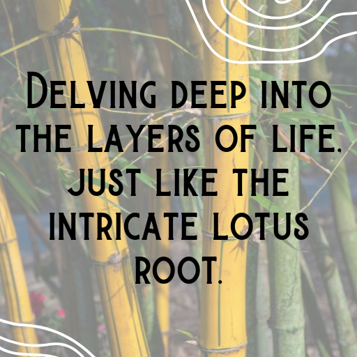 162+ Lotus Root Captions For Instagram In 2025 8 Lotus Root Captions Image For Instagram In 2025-nrEsq7