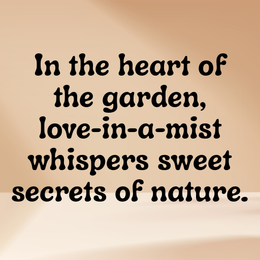 155+ Love-in-a-Mist Captions For Instagram In 2025 6 Love-in-a-Mist Captions Image For Instagram In 2025-Islv4Z