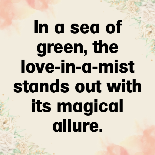 155+ Love-in-a-Mist Captions For Instagram In 2025 3 Love-in-a-Mist Captions Image For Instagram In 2025-q8MPoO