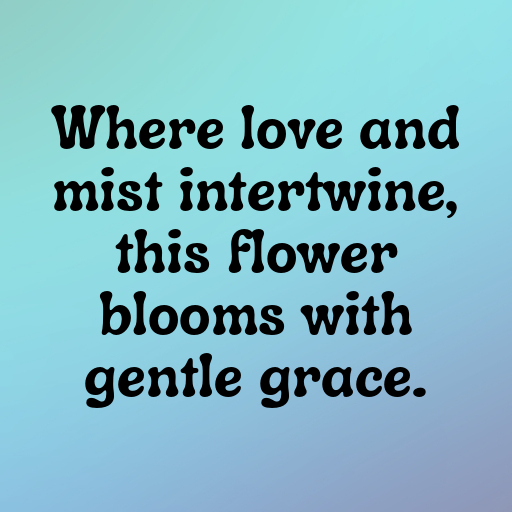 155+ Love-in-a-Mist Captions For Instagram In 2025 8 Love-in-a-Mist Captions Image For Instagram In 2025-sX5NsI