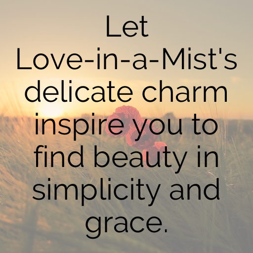 155+ Love-in-a-Mist Captions For Instagram In 2025 9 Love-in-a-Mist Captions Photo For Instagram In 2025-03Puz9