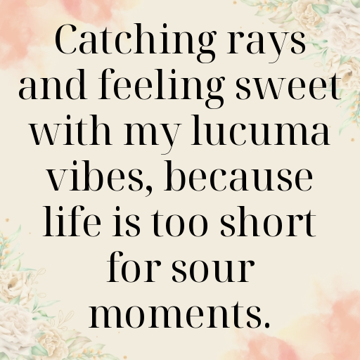 151+ Lucuma Captions For Instagram In (2025) 6 Lucuma Captions Image For Instagram In (2025)-wHrPfj