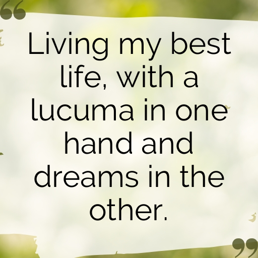 151+ Lucuma Captions For Instagram In (2025) 9 Lucuma Captions Photo For Instagram In (2025)-TYD4Zi