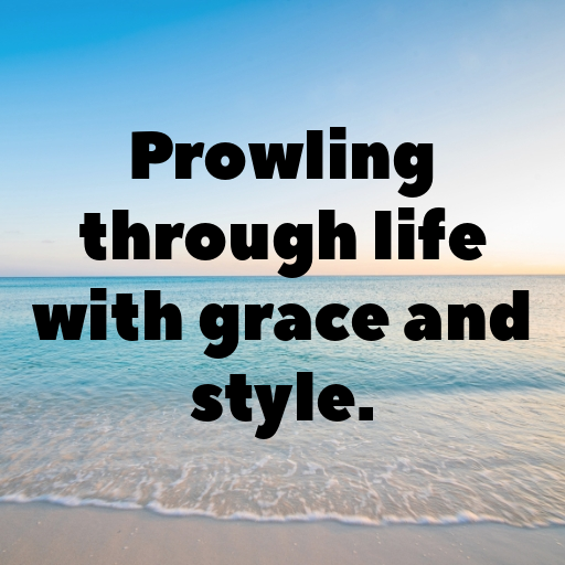 Lynx Captions Image For Instagram In [2025]-Cipo63