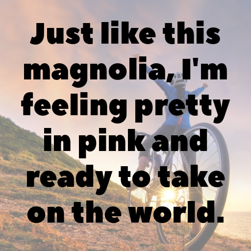 180+ Magnolia Captions For Instagram In 2025 4 Magnolia Captions Image For Instagram In 2025-FpXQfb