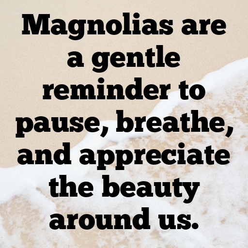 180+ Magnolia Captions For Instagram In 2025 3 Magnolia Captions Image For Instagram In 2025-l8CStt