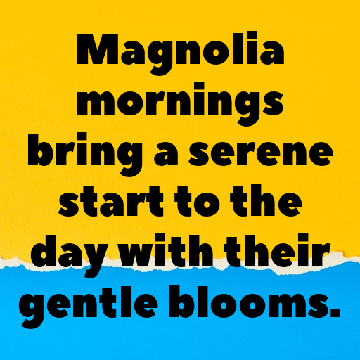 180+ Magnolia Captions For Instagram In 2025 7 Magnolia Captions Photo For Instagram In 2025-pTcWi0