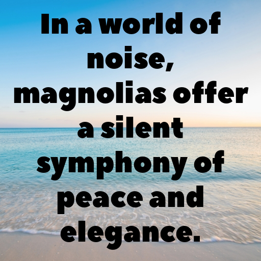 180+ Magnolia Captions For Instagram In 2025 9 Magnolia Captions Photo For Instagram In 2025-WFUcIi