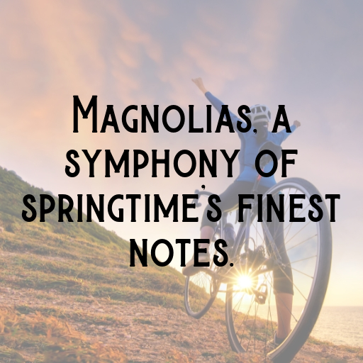 180+ Magnolia Captions For Instagram In 2025 5 Magnolia Captions Photo For Instagram In 2025-WXJPkU