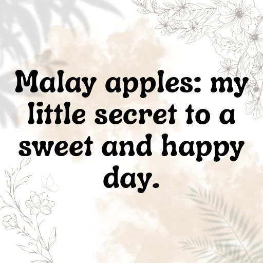 150+ Malay Apple Captions For Instagram In 2025 8 Malay Apple Captions Photo For Instagram In 2025-0AhzpP
