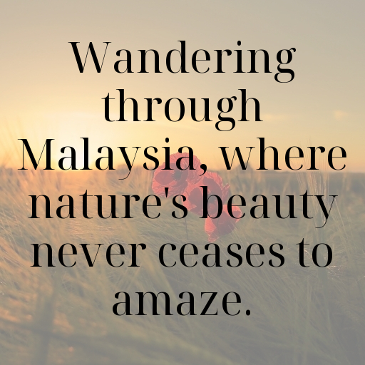 Malaysia Captions Image For Instagram In [2025]-lyDsWd