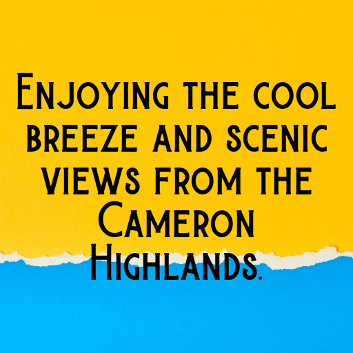 Malaysia Captions Image For Instagram In [2025]-unvas1