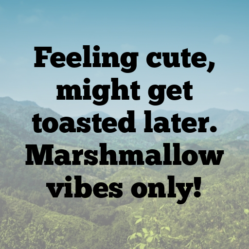 162+ Mallow Captions For Instagram In 2025 4 Mallow Captions Image For Instagram In 2025-K09wly