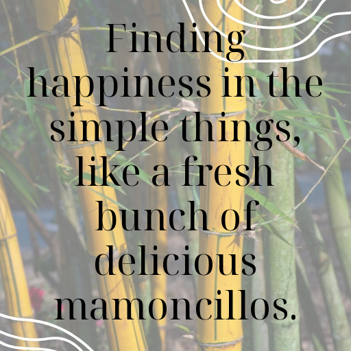 Mamoncillo Captions Image For Instagram In 2025-gpkWQi