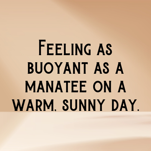 Manatee Captions Image For Instagram In [2025]-5qZ7hJ