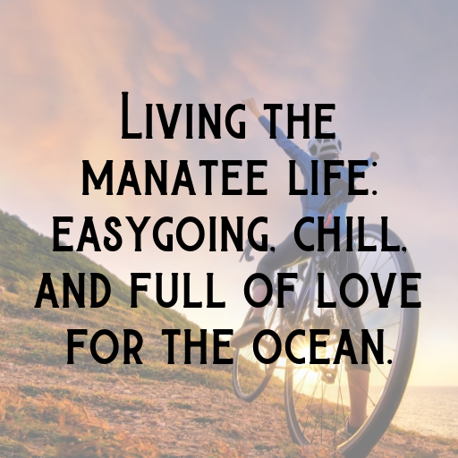 Manatee Captions Photo For Instagram In [2025]-ioXRPv