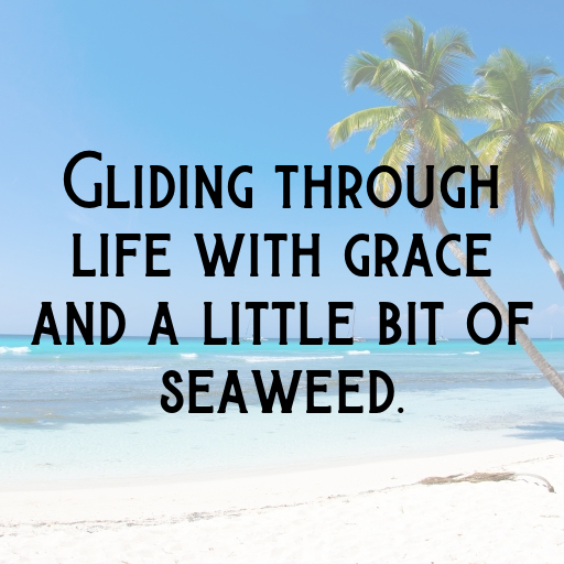 Manatee Captions Photo For Instagram In [2025]-MJzjvl