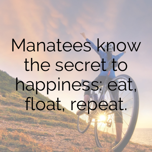 Manatee Captions Photo For Instagram In [2025]-VhL9CU