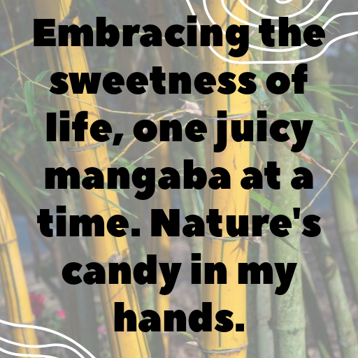 Mangaba Captions Image For Instagram In (2025)-2IisSk