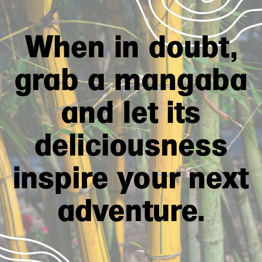 Mangaba Captions Image For Instagram In (2025)-rvGwaj