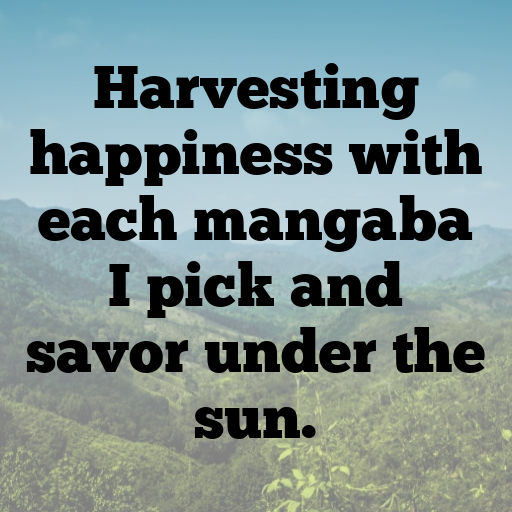 Mangaba Captions Photo For Instagram In (2025)-GLUkKA