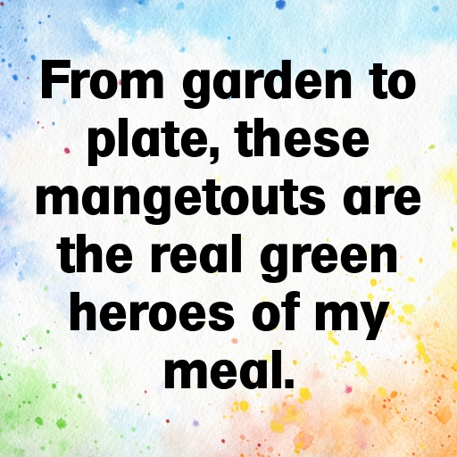 Mangetout Captions Photo For Instagram In [2025]-JIJy2o