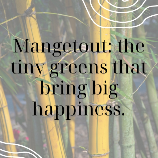 Mangetout Captions Photo For Instagram In [2025]-mlQjb3