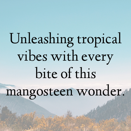 Mangosteen Captions Photo For Instagram In [2025]-8cMGAs