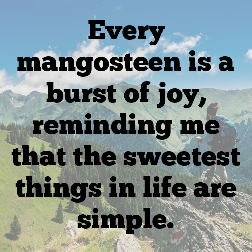 Mangosteen Captions Photo For Instagram In [2025]-UEmBdu