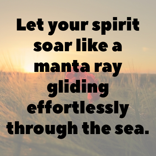 Manta Ray Captions Image For Instagram In 2025-lL9plb