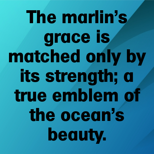 163+ Marlin Captions For Instagram In (2025) 10 Marlin Captions Photo For Instagram In (2025)-aXbnqx
