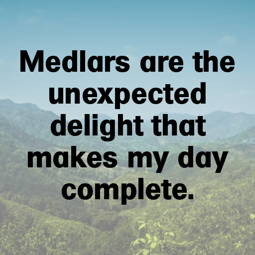 Medlar Captions Photo For Instagram In (2025)-Gqm5Bd