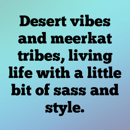 Meerkat Captions Photo For Instagram In [2025]-0BrpLH