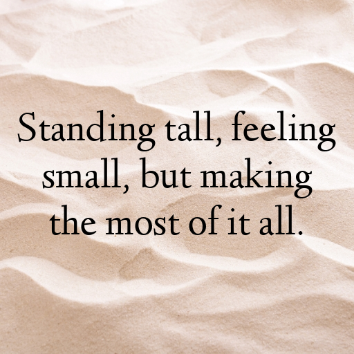 Meerkat Captions Photo For Instagram In [2025]-Cpbjuh