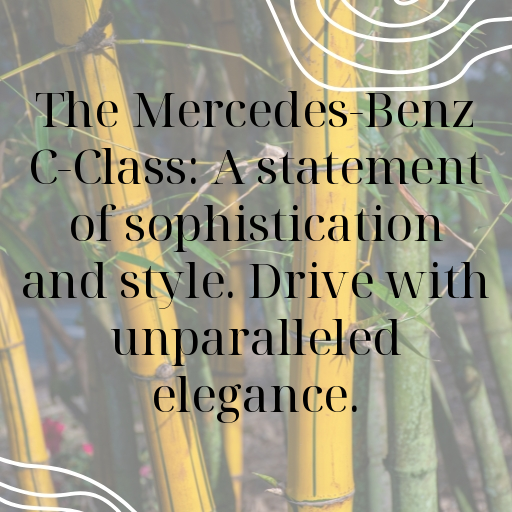 Mercedes-Benz C-Class Captions Photo for Instagram In (2025)-mfJf6H