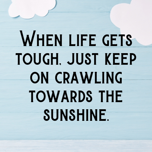 Millipede Captions Image For Instagram In [2025]-XiyL1R