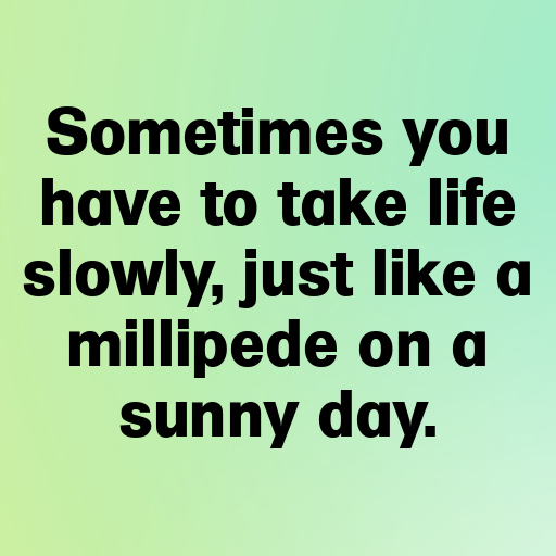 Millipede Captions Photo For Instagram In [2025]-8DGKqQ